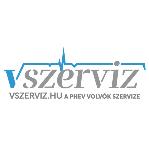 Vszerviz logó